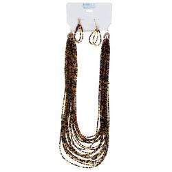2 Pc Necklace & Earrings Set