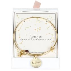 Aquarius Charm Bangle Bracelet - Gold