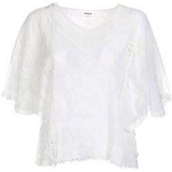 Women's Plus Embroidered Sheer Top