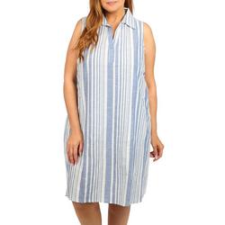Women's Plus Sleeveless Striped Dress