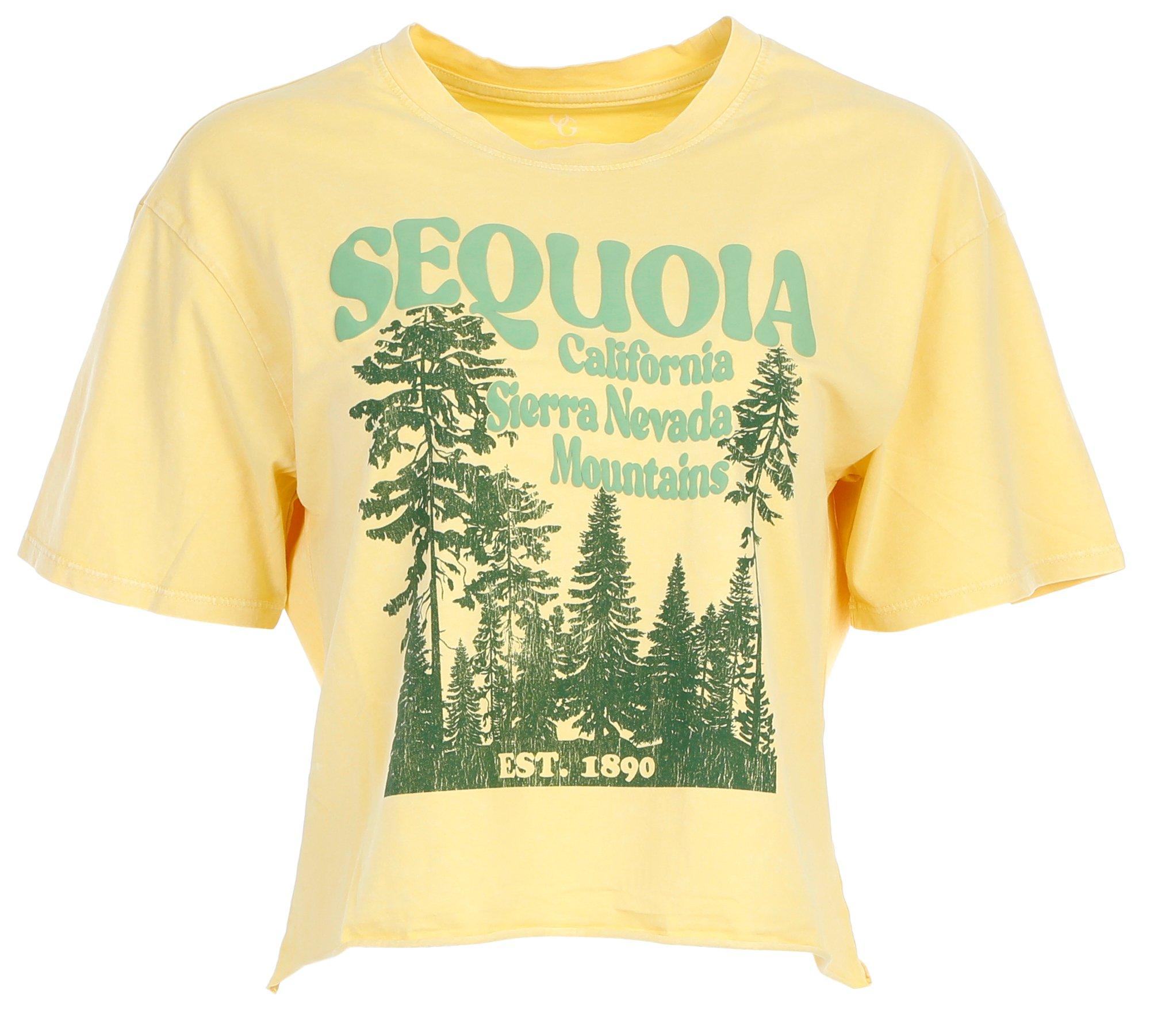 Juniors Sequoia Graphic Tee