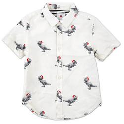 Little Boys Dino Print Button Down Shirt