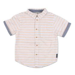 Little Boys Stripe Print Button Down Shirt