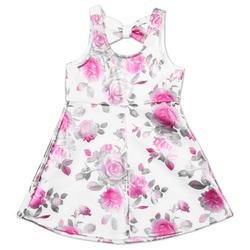 Toddler Girls Sleeveless Floral Print Dress