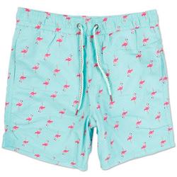 Men's flamingo Print Volley Swim Shorts
