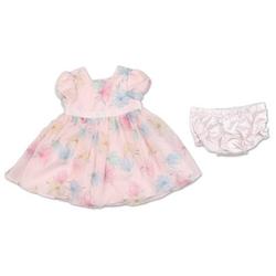 Baby Girls 2 Pc Dress Set
