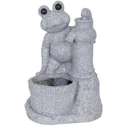 17 in. Frog With Water Garden Statue