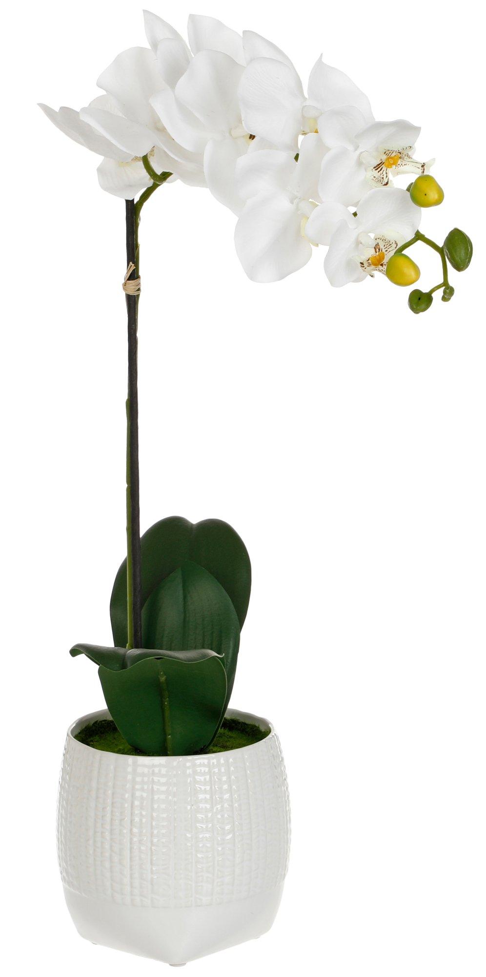 22 in White Orchid Decorative Plant