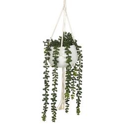 20 in. Hanging Plant Decor