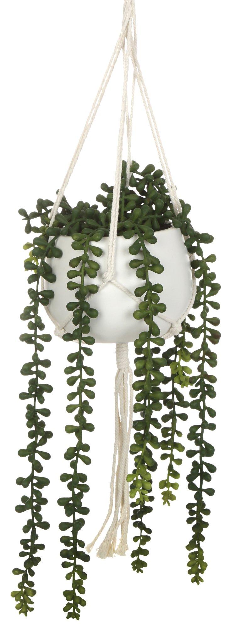 20 in. Hanging Plant Decor
