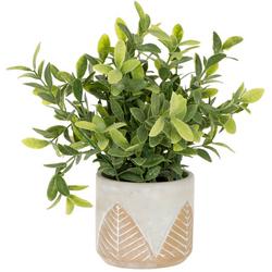 10 Greenery Potted Plant