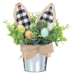 Decorative Easter Egg Plant