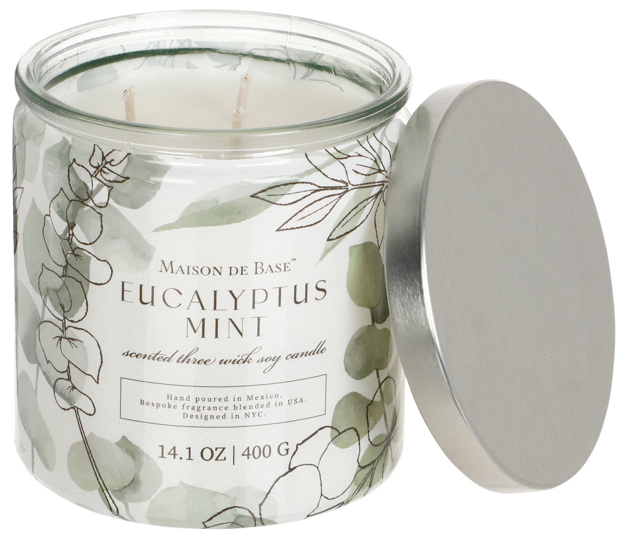14 oz Eucalyptus Mint Candle