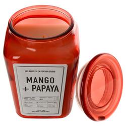17 oz Mango Papaya Scented Candle
