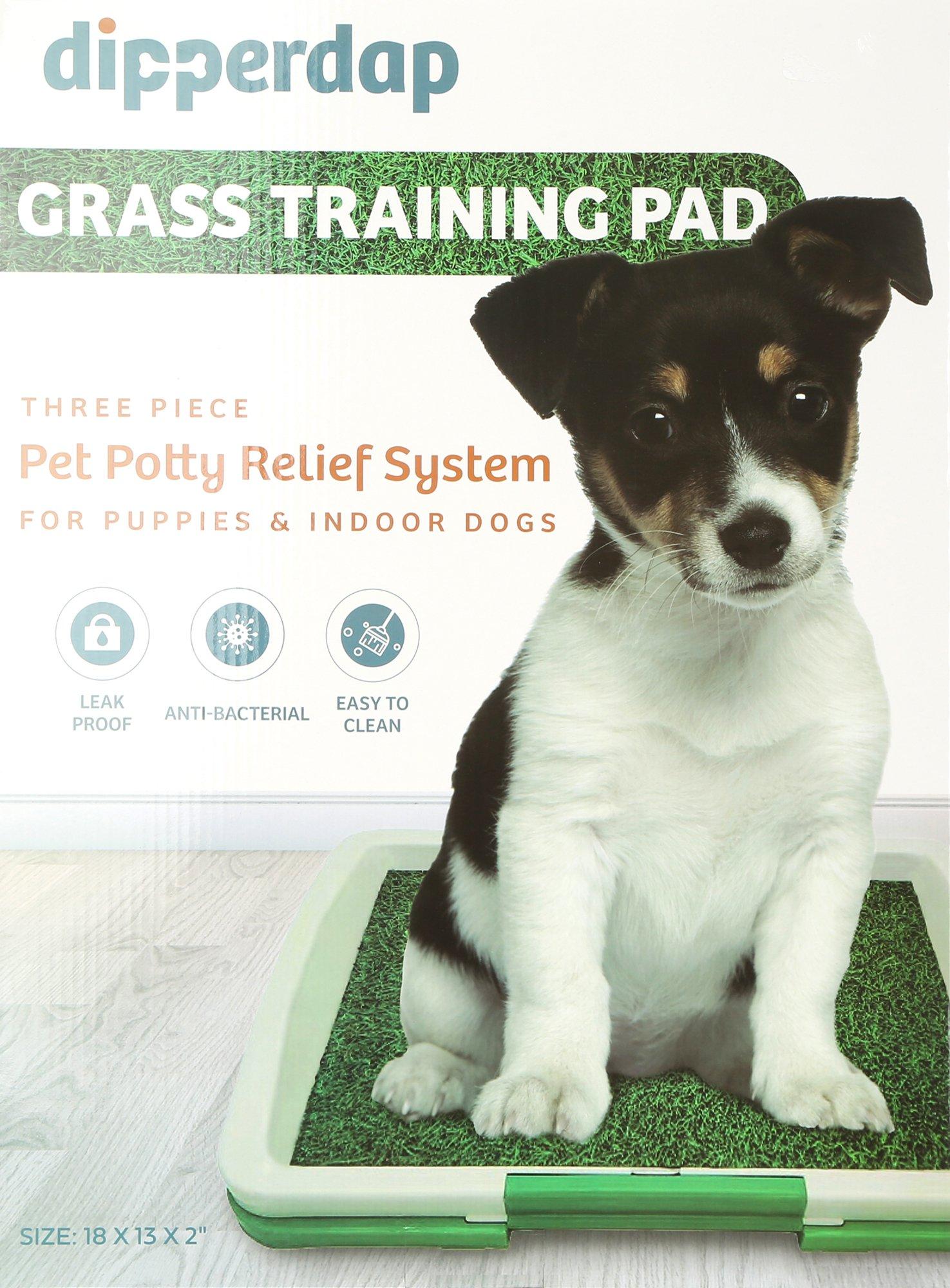 Pet Grass Training Pad