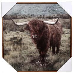 20x20 Western Bison Cow Wall Art